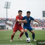 FIFA ASEAN Cup 2026: Tiêu chí 'bảng xếp hạng FIFA' – Lợi thế hay cái bẫy cho tuyển Việt Nam?